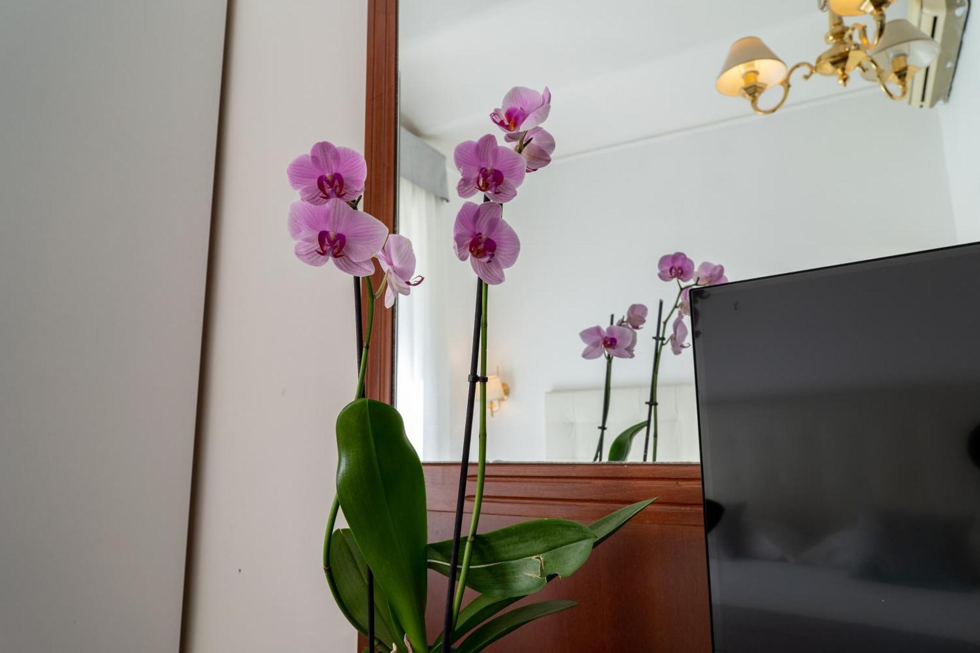 Hotel Gabriella Rom Eksteriør billede
